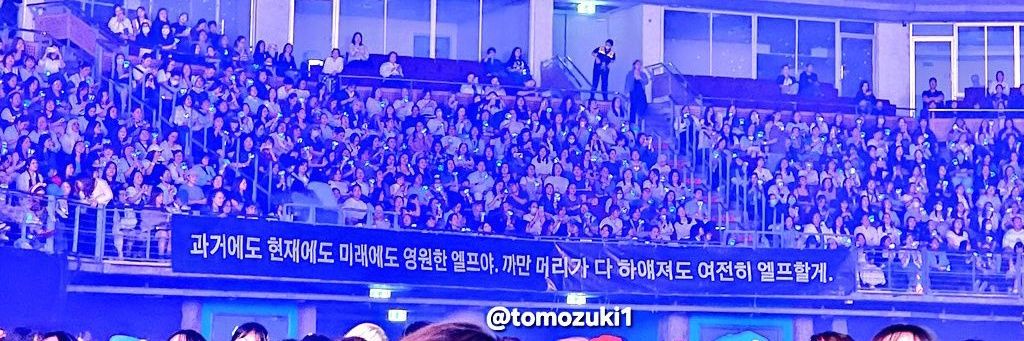 LOVE IS PAIN💙's banner