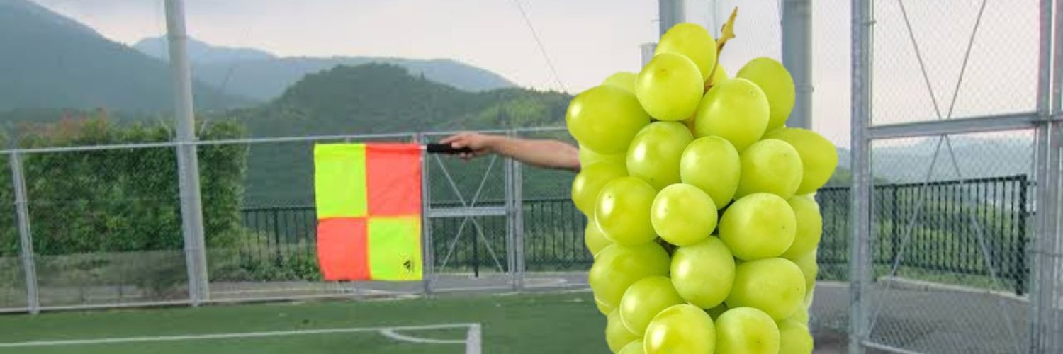 サッカーファンタジーニュース 【フィクション・空想】's banner