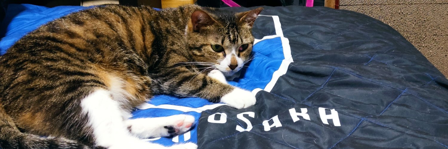 🐈ねこガンバ🐈's banner