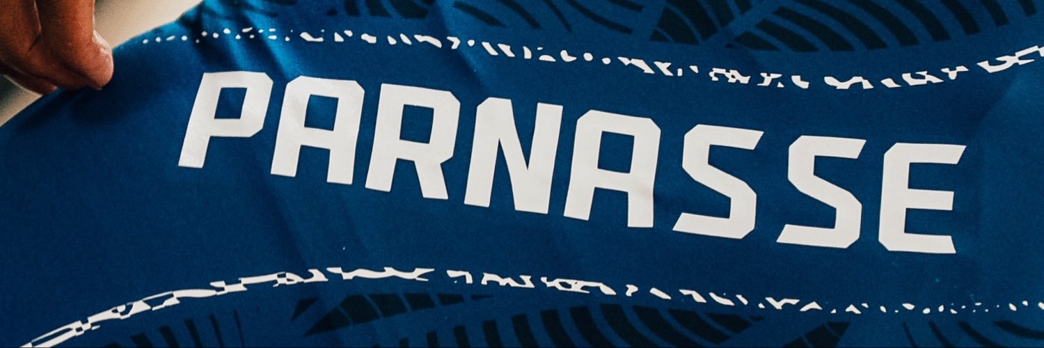 Salahdine Parnasse's banner