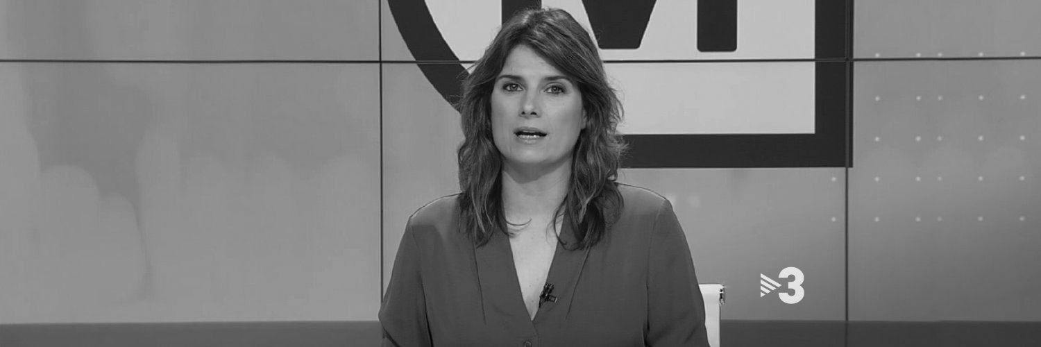 Els matins TV3's banner