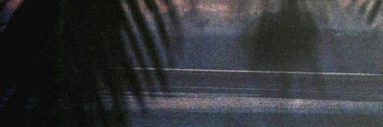 Taylor Breesey's banner