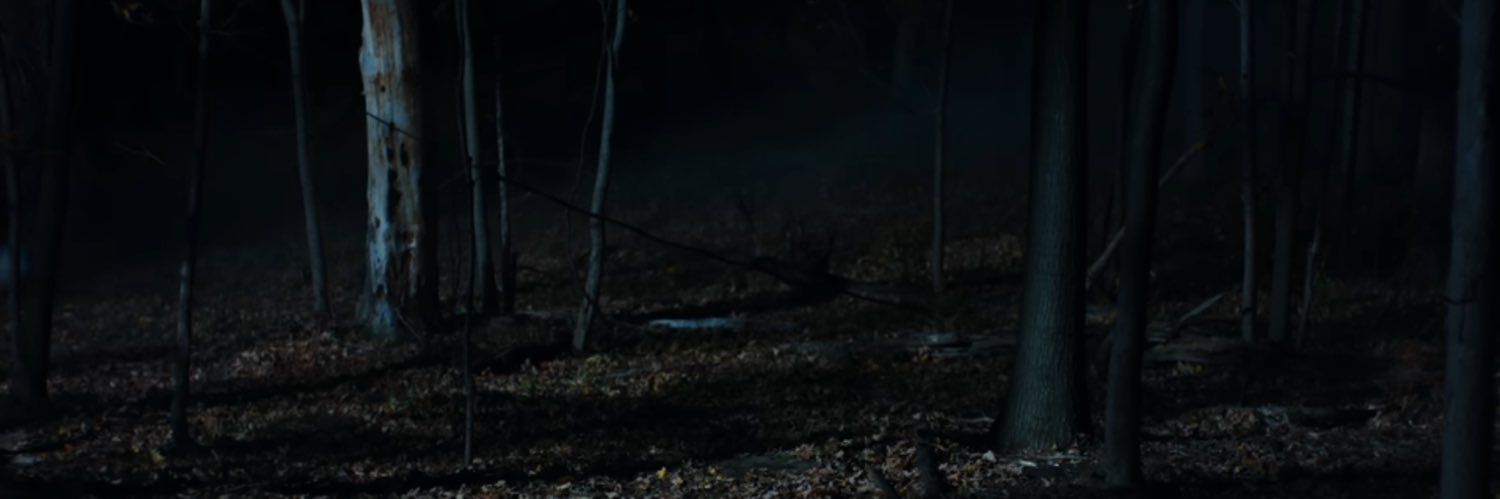 𝒟𝒶𝓁𝑒's banner