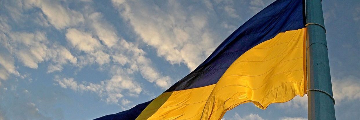 Victor Tregubov's banner