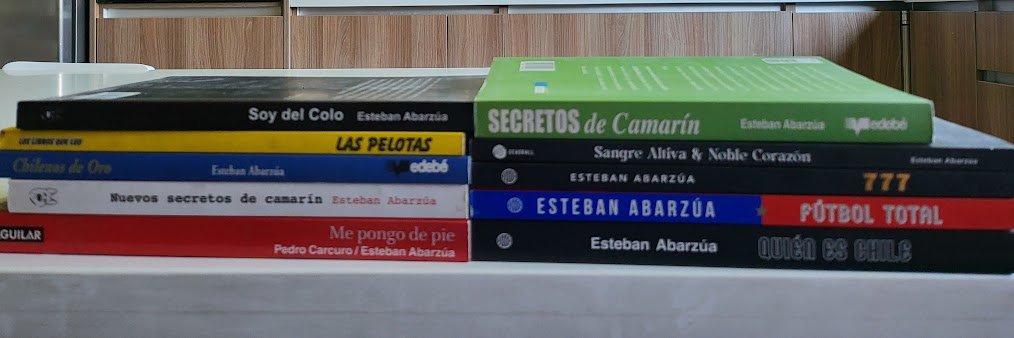 Esteban Abarzúa's banner
