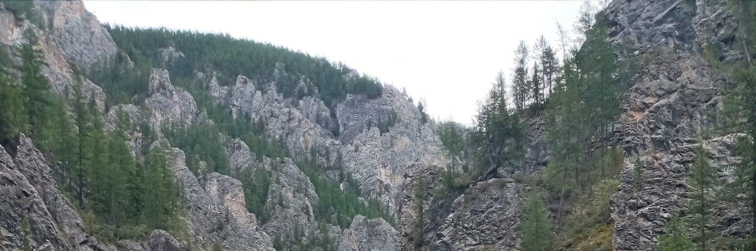 Баяраа's banner
