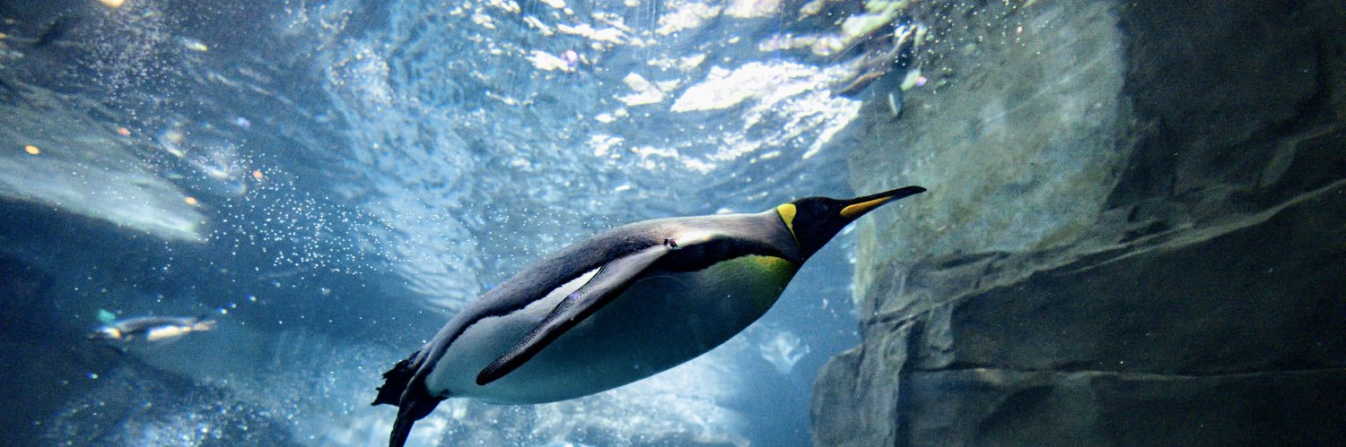 SeaWorld's banner