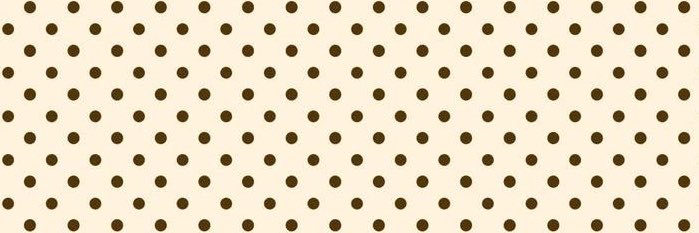 𑣲⋆𝒶𝓁𝑒𝓍 ⋆. 𐙚 ˚'s banner