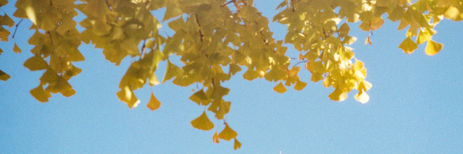ふじけん's banner