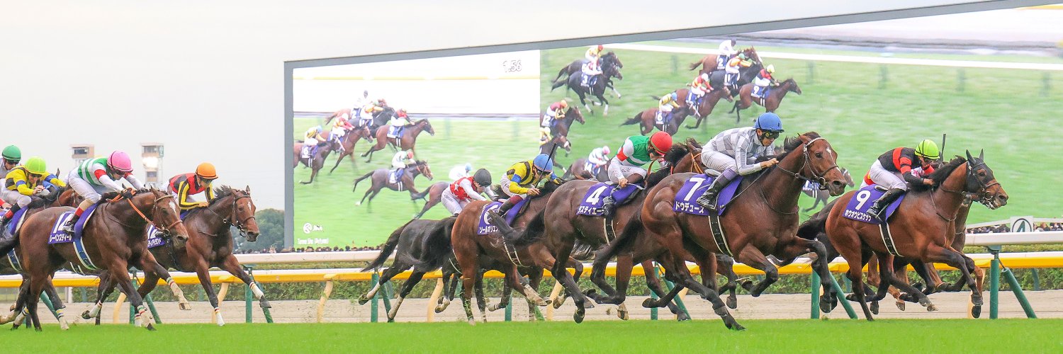 日刊ゲンダイ　競馬's banner