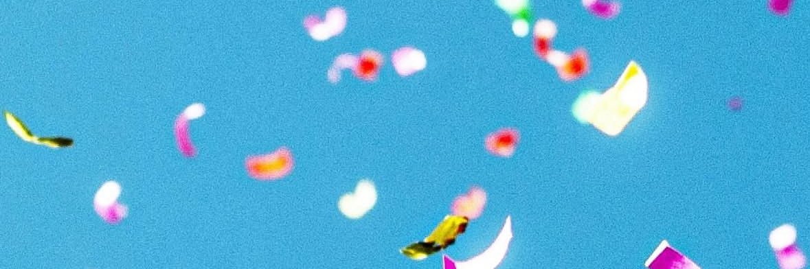 toro*'s banner