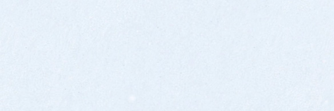 bly's banner