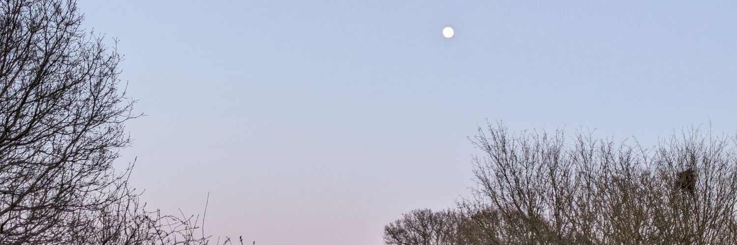 dyl's banner