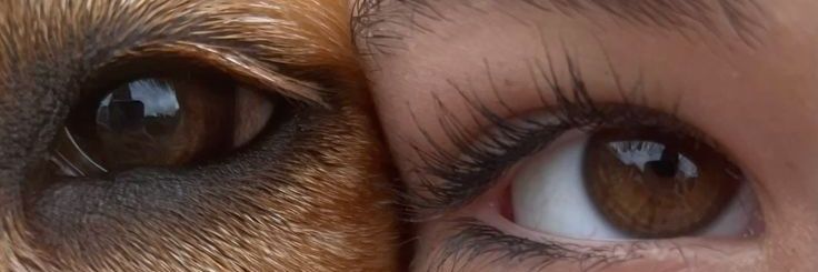 Clarinha✨️'s banner