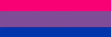 Gustavo's banner