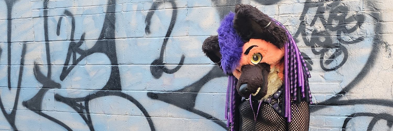 ⚡️Vaalrein ⚠️'s banner