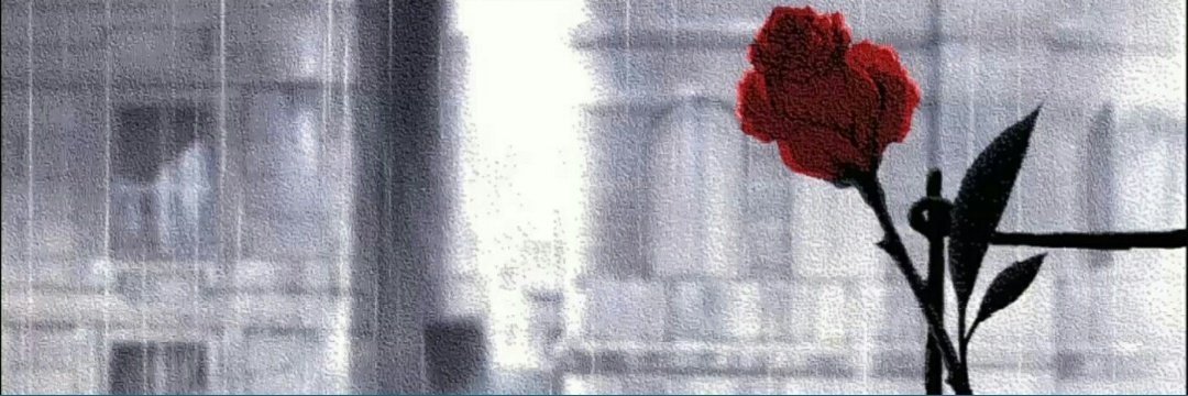 Firat Topal's banner