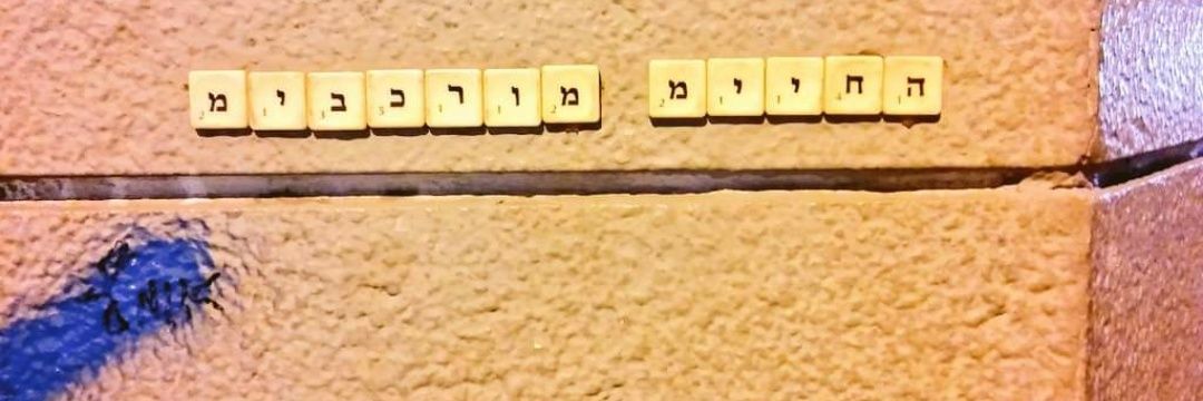 יהל פרג''s banner
