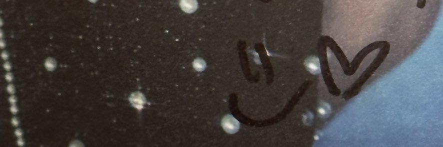 얀's banner