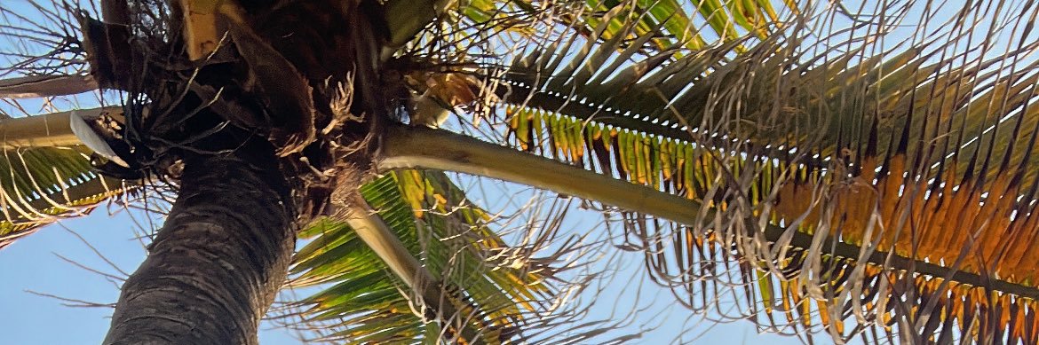Elainebabey's banner