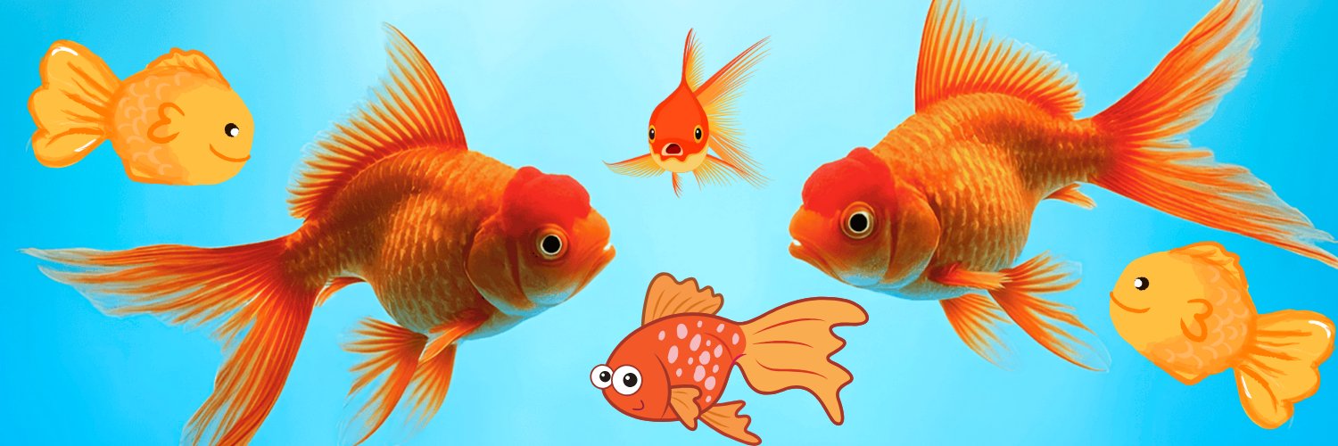 ゆらゆらスイミング金魚's banner