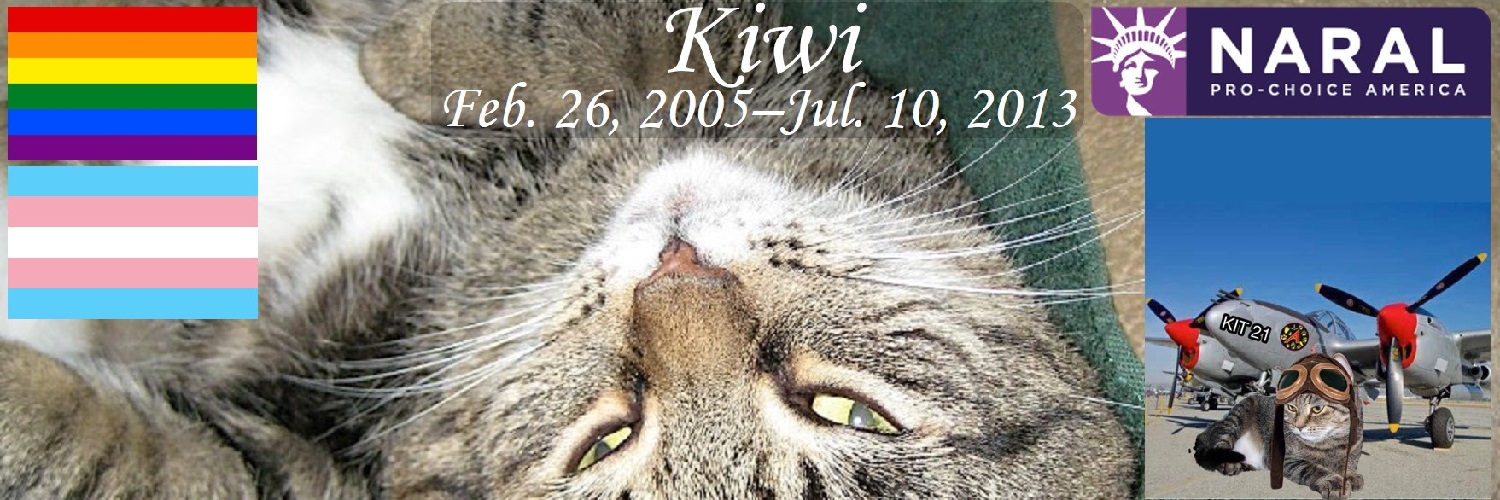 Kiwi the Scruffa Kitty! 💜's banner