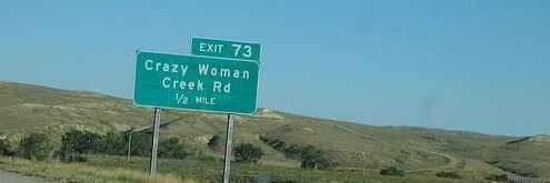 CrazyWoman/Sanda's banner