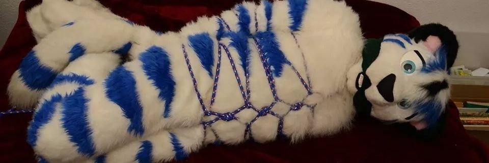 Egnur Tiger🔗⛓️🔑🔞's banner