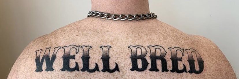 T's banner