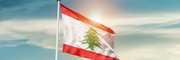 Nancy Hadad's banner