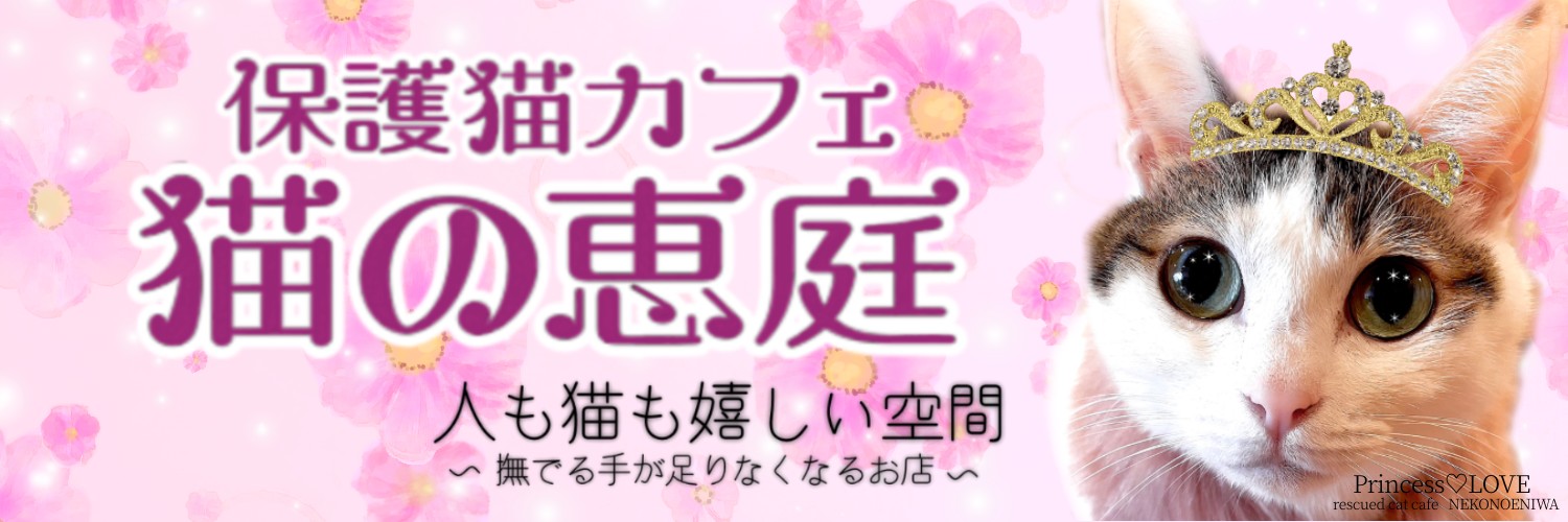 大阪難波 保護猫カフェ猫の恵庭's banner