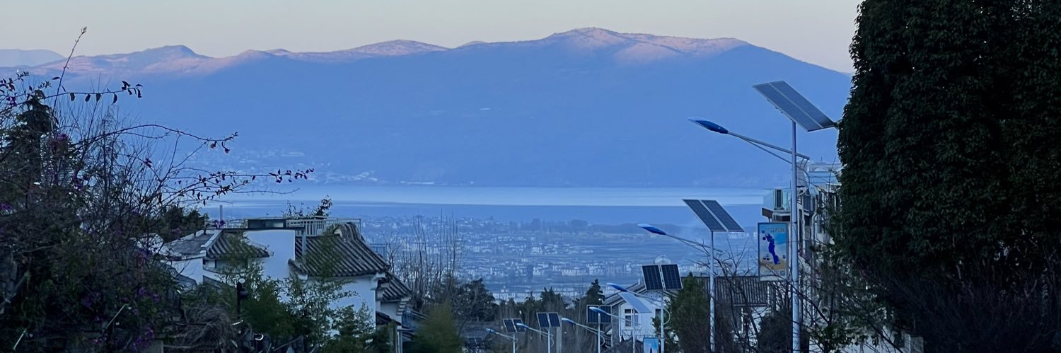 thisischaniece's banner