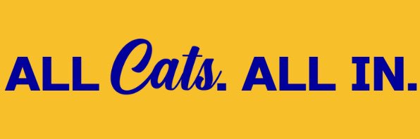 Jake Lewis's banner