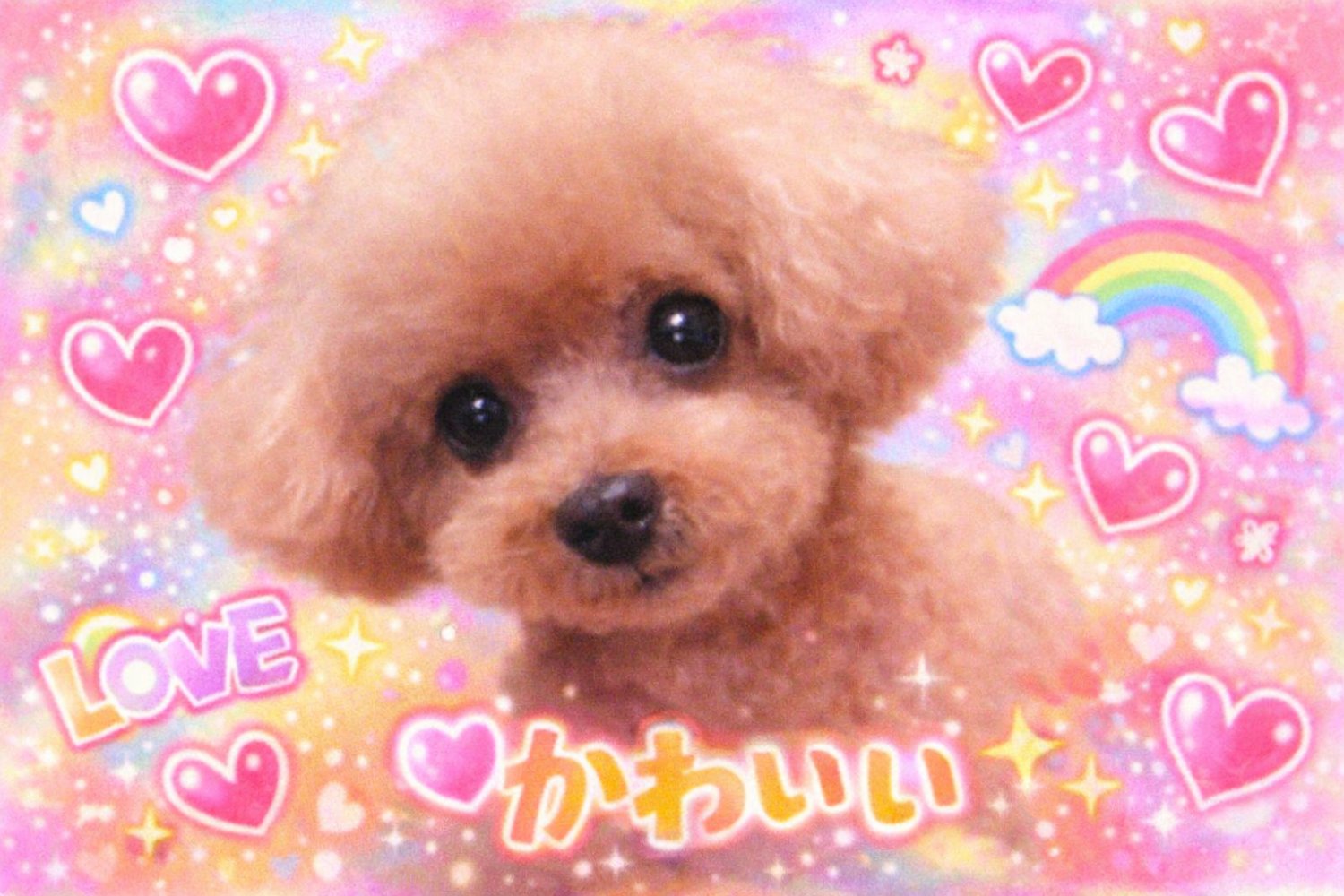 hiropin🐾 ＃選挙に行こう's banner