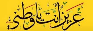 شخبوط's banner