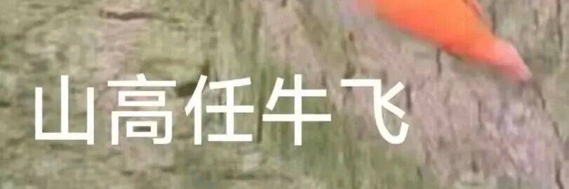 牛来's banner