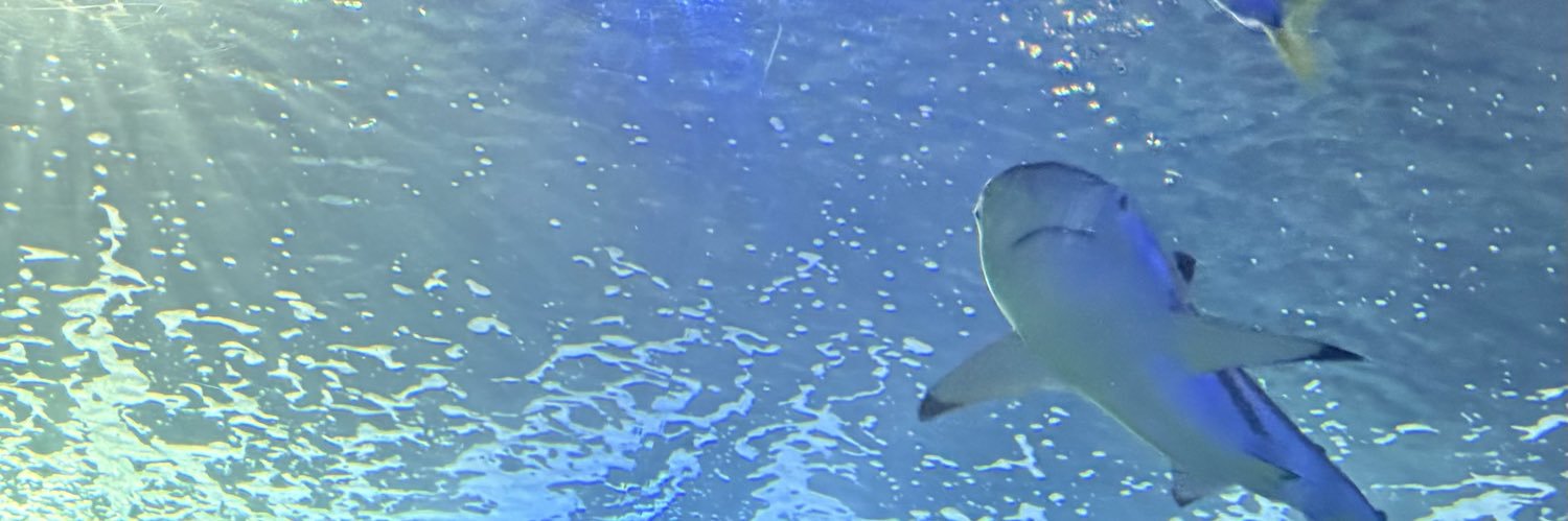 𝖼𝖼𝗁𝖾𝖾𝗓𝖾́☆彡's banner