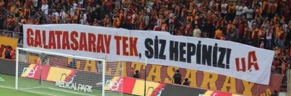mertensizm's banner