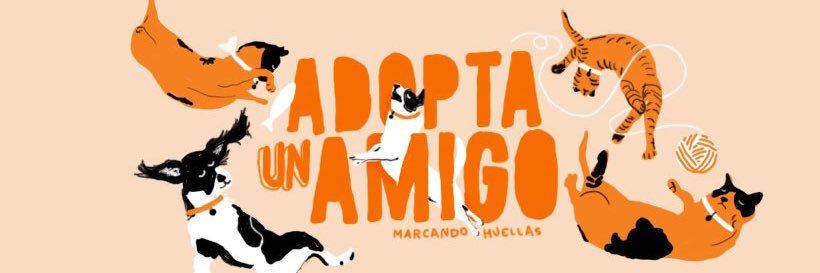 Marcando Huellas's banner