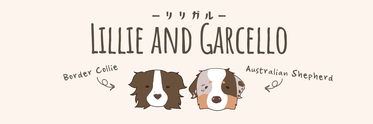 リリガル Lillie and Garcello's banner