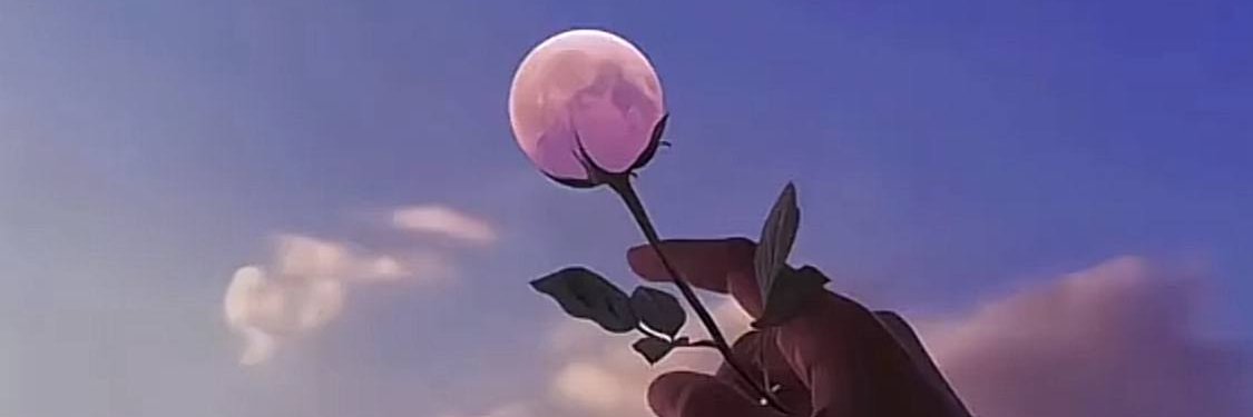 隔壁小张's banner