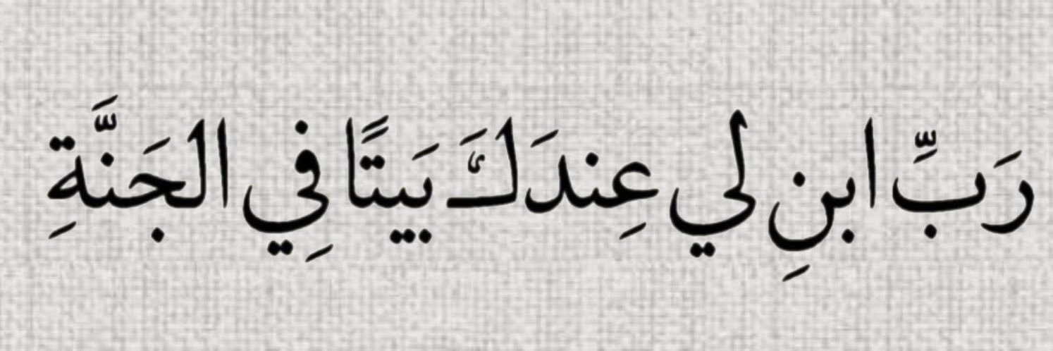 Amal🦋's banner