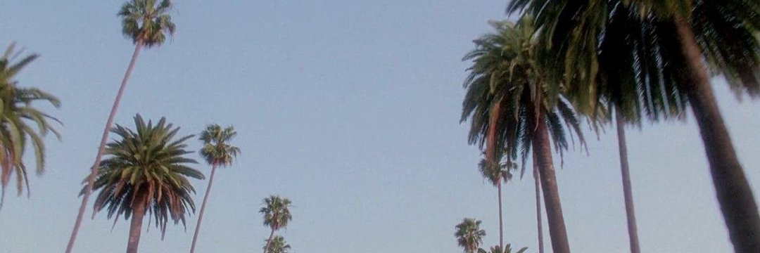 lee's banner