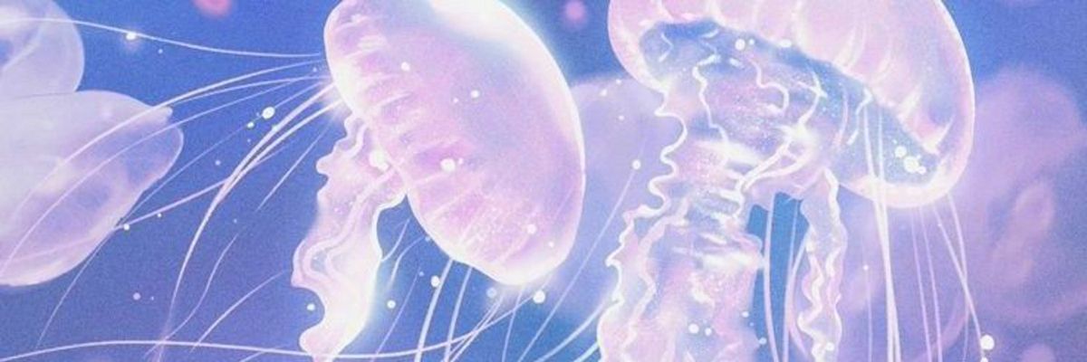 𝔅𝔩𝔲🫐's banner