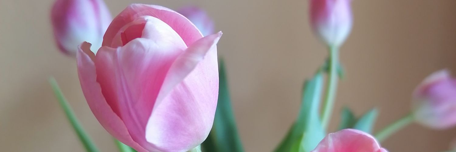 F.'s banner