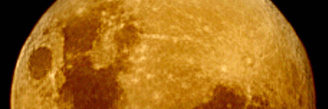 🟢 Ali G ⚡🐺's banner