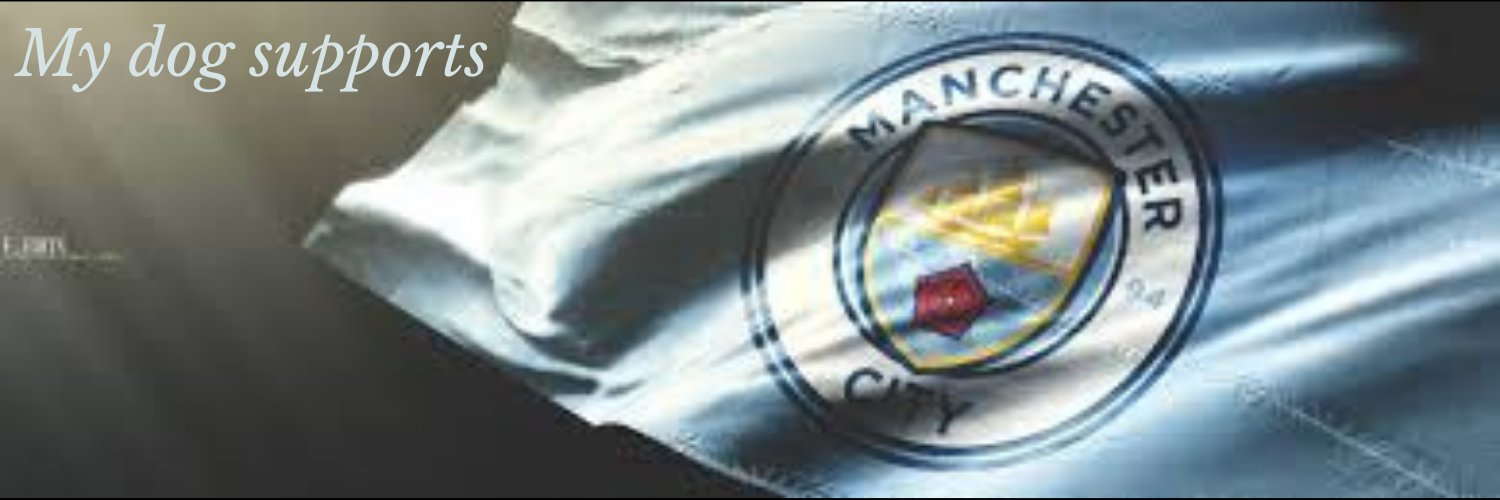 Barney Blue Moon's banner