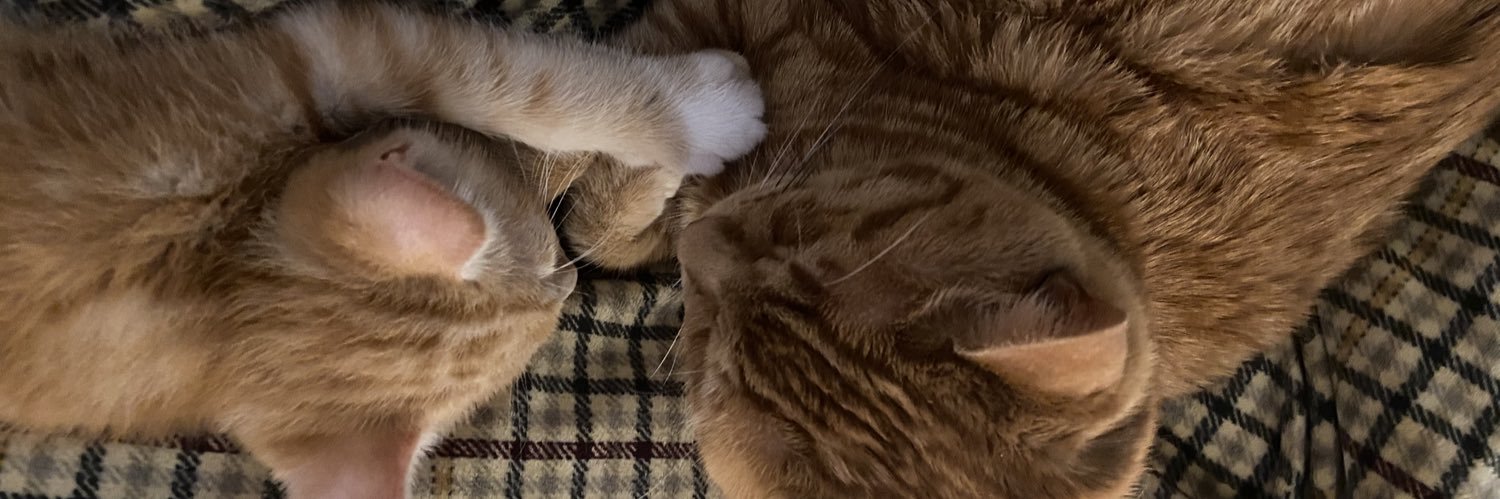 Seamus & Atticus's banner