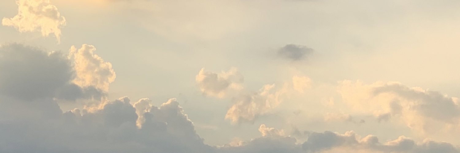 toka's banner