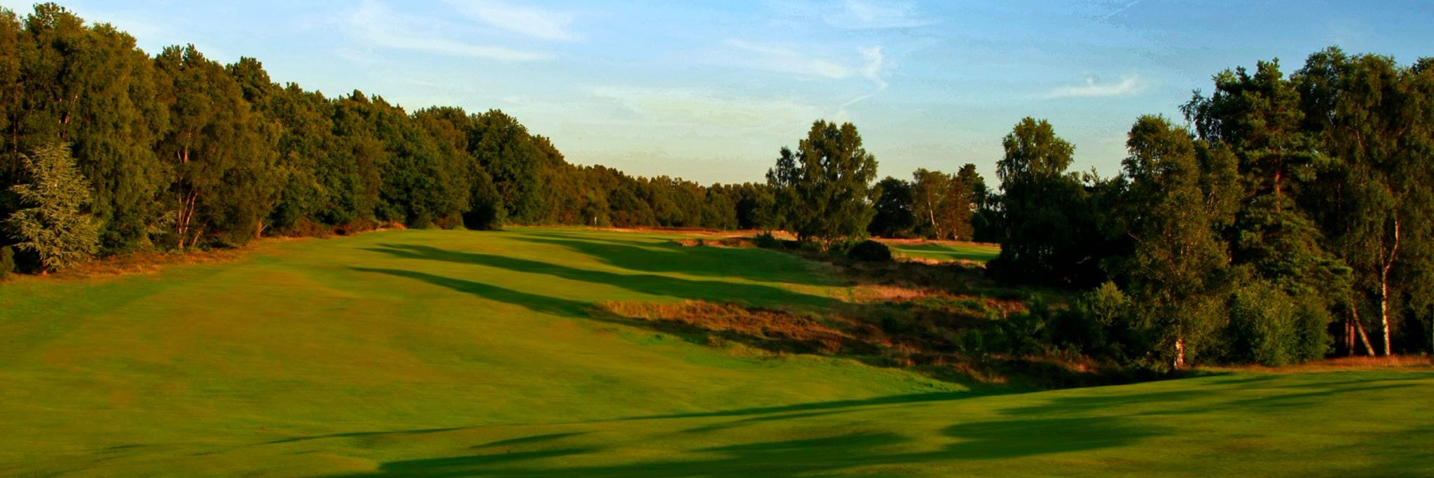 Walton Heath Golf Club's banner